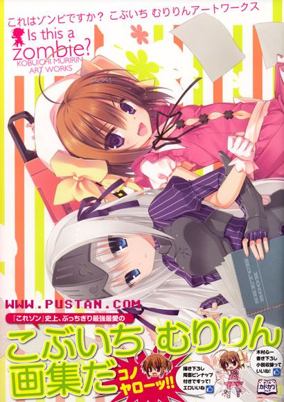 これはゾンビですか? こぶいち むりりんアートワークス Anime Book