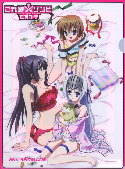 Anime Goods