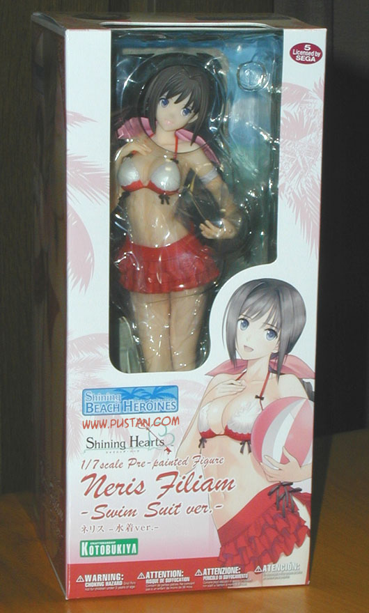 Anime Figure