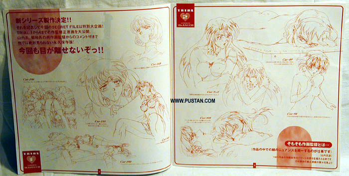 AIKa LaserDisc goodies Anime LaserDisc