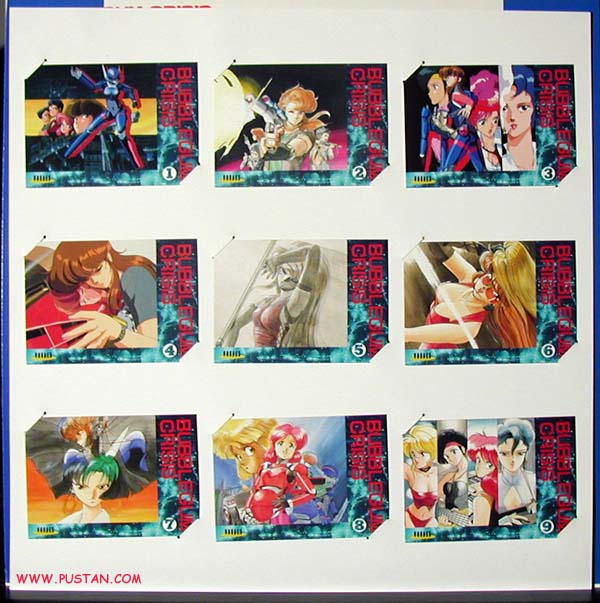 Bubblegum Crisis Laserdisc Box goodies Bubblegum Crisis Laserdisc Box