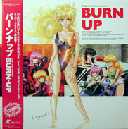 Burn-Up Laserdisc front