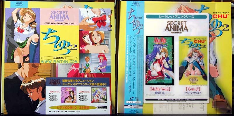 Chu2 ² Secret Anima Series LD Laserdisc Inserts and Clear File