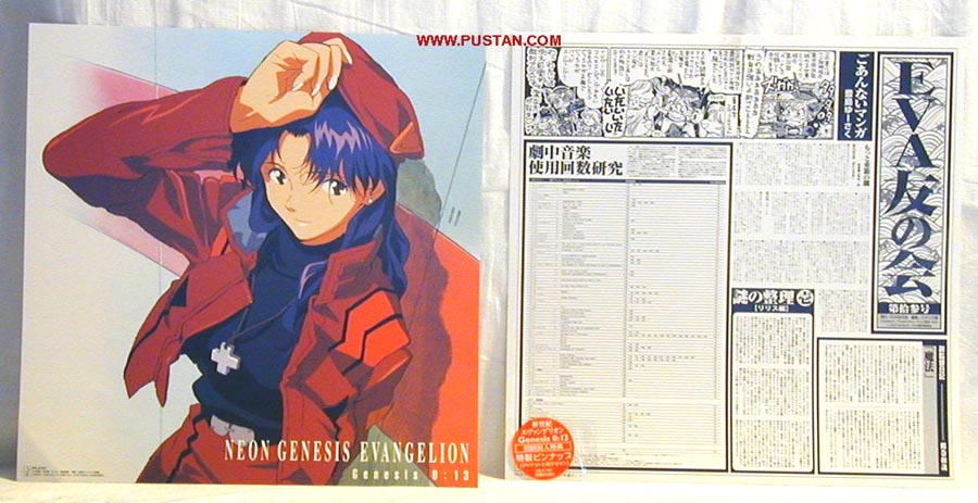 Neon Genesis Evangelion LD CAV 新世紀エヴァンゲリオン Anime LaserDisc