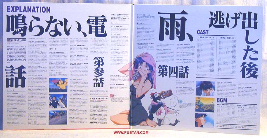 Neon Genesis Evangelion LD CAV 新世紀エヴァンゲリオン Anime LaserDisc