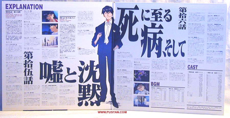 Neon Genesis Evangelion LD CAV 新世紀エヴァンゲリオン Anime LaserDisc