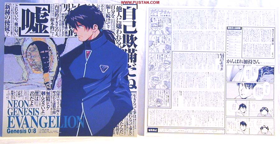 Neon Genesis Evangelion LD CAV 新世紀エヴァンゲリオン Anime LaserDisc