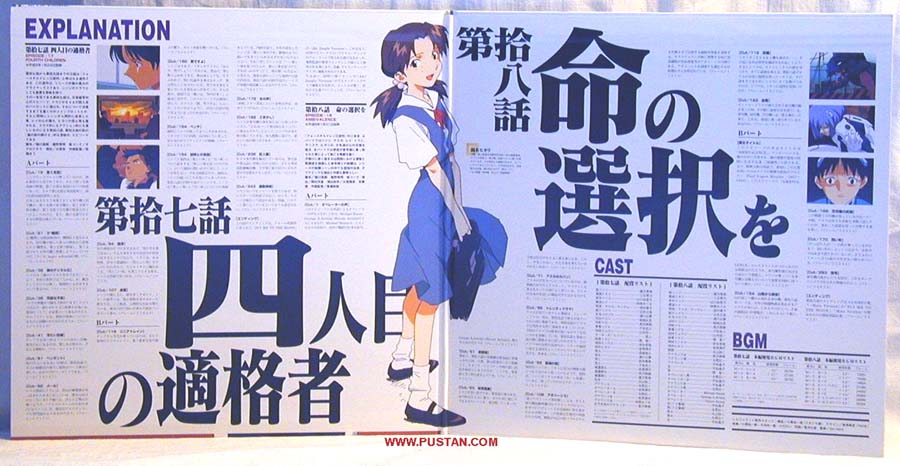 Neon Genesis Evangelion LD CAV 新世紀エヴァンゲリオン Anime LaserDisc
