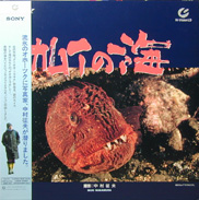 Kamui of the Okhotsk Laserdisc front