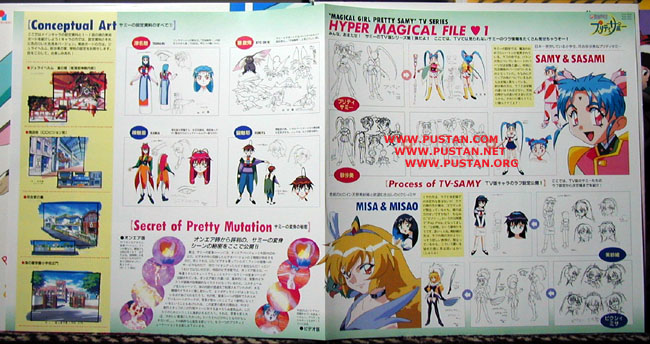 Pretty Samy LaserDisc goodies Tenchi Muyo Laserdisc
