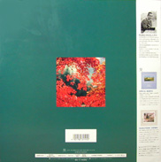 Yoshino's Magical Splendor Laserdisc back