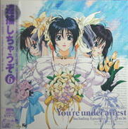 You're Under Arrest TV Laserdisc front