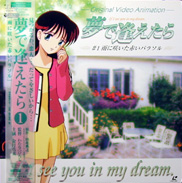 Yume de Aetara OVA OAV Laserdisc front