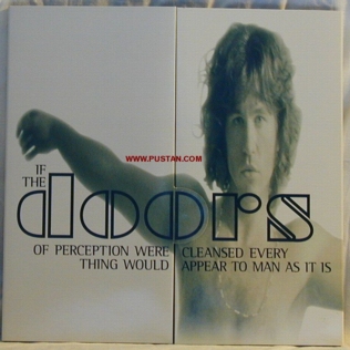 The Doors Laserdisc inner Box The Doors Laserdisc inner Box