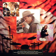 The Doors Laserdisc jacket back